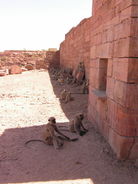 Pictures from India