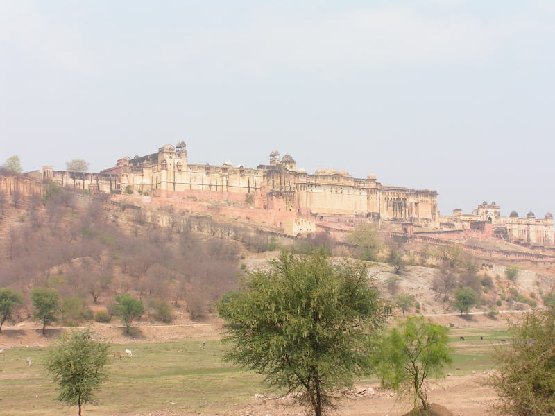 Pictures from India