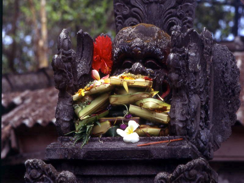 Pictures from Indonesia