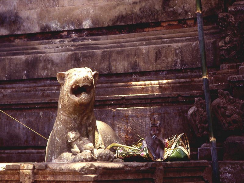 Pictures from Indonesia