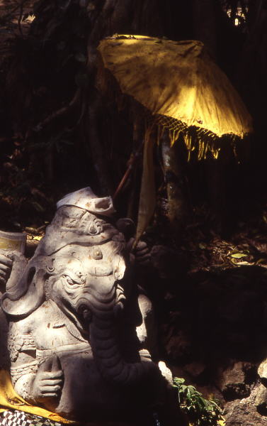 Pictures from Indonesia