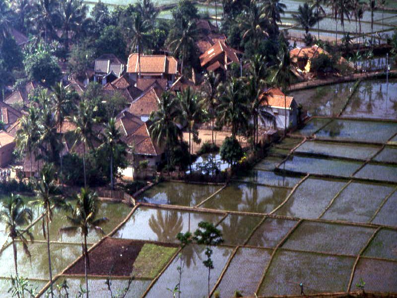 Pictures from Indonesia, Bali