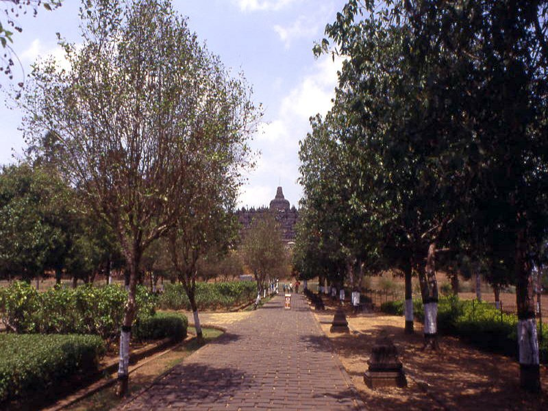 Pictures from Indonesia, Bali