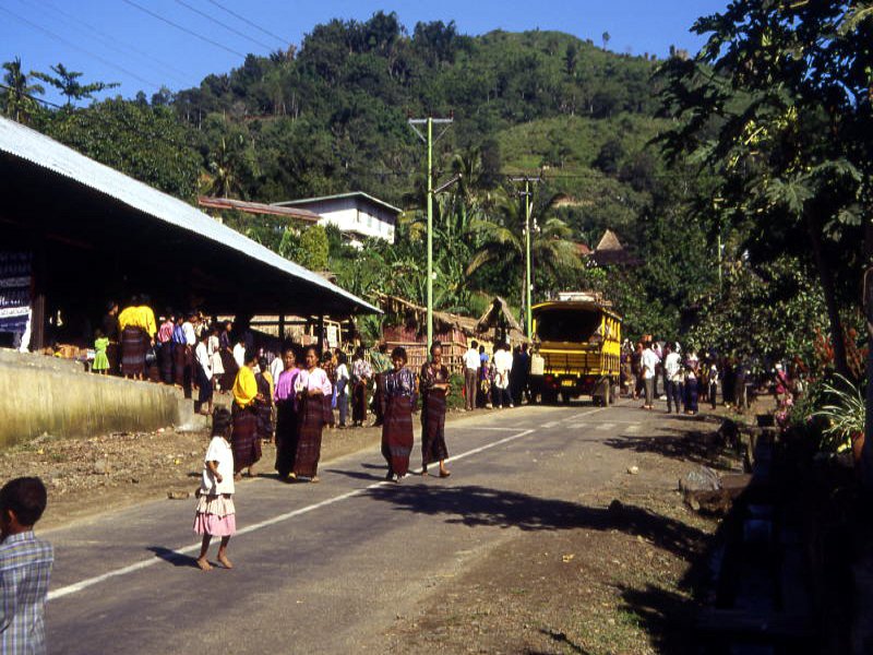 Pictures from Indonesia