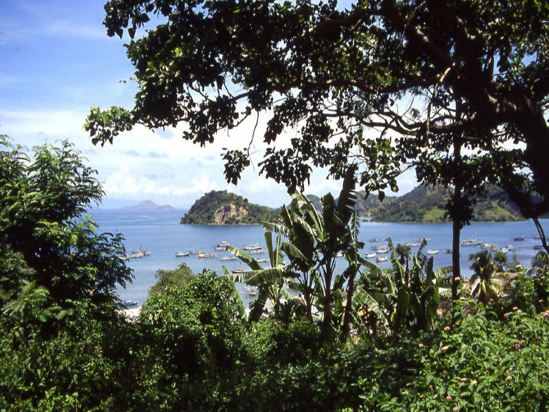 Pictures from Indonesia