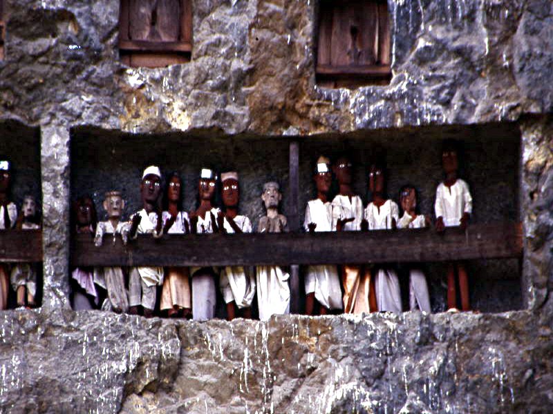 Pictures from Indonesia