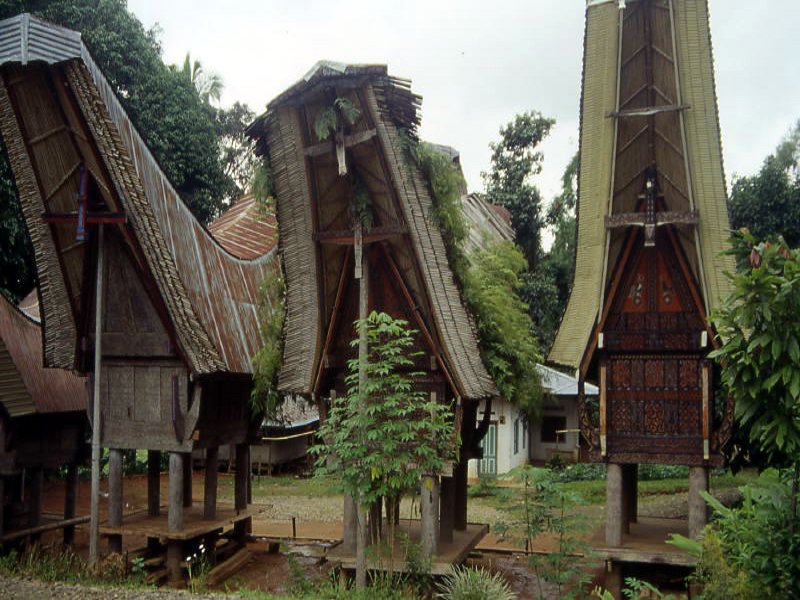 Pictures from Indonesia