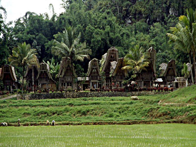 Pictures from Indonesia