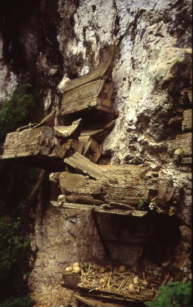 Pictures from Indonesia