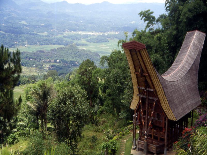 Pictures from Indonesia