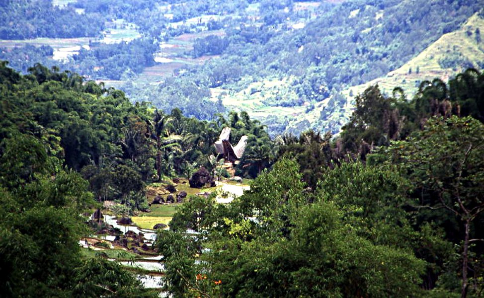 Pictures from Indonesia