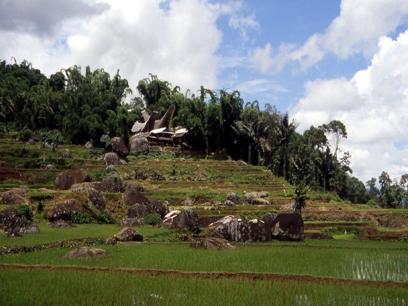 Pictures from Indonesia