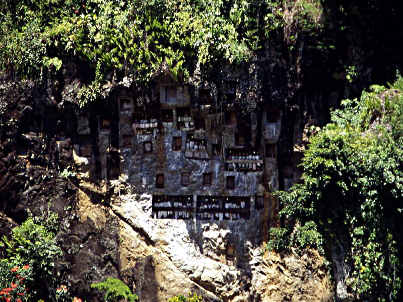 Pictures from Indonesia