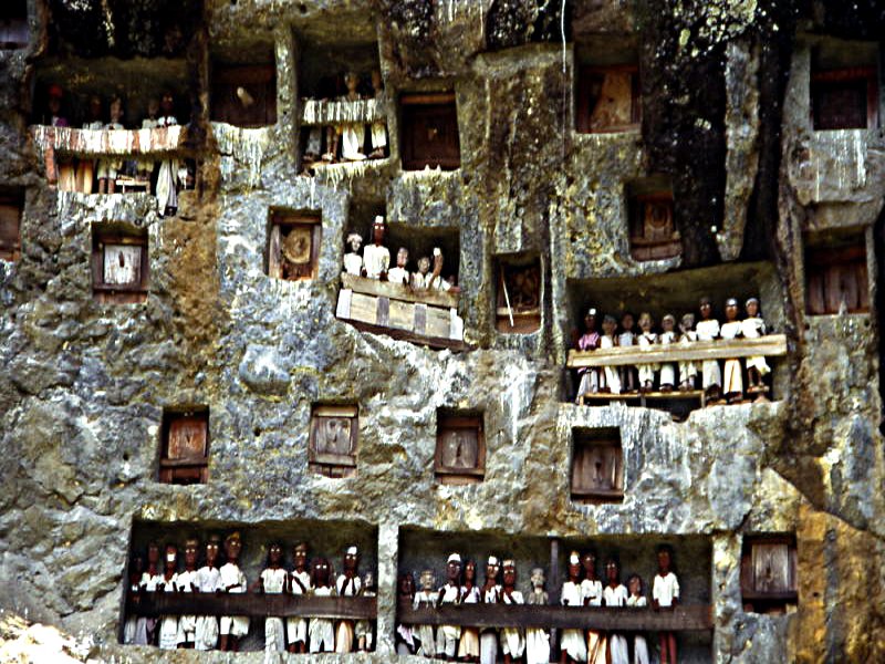 Pictures from Indonesia