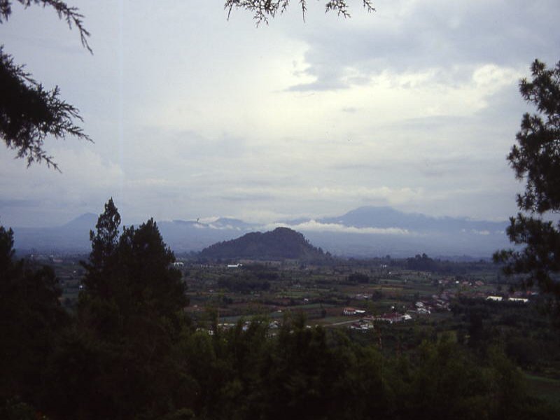 Pictures from Indonesia