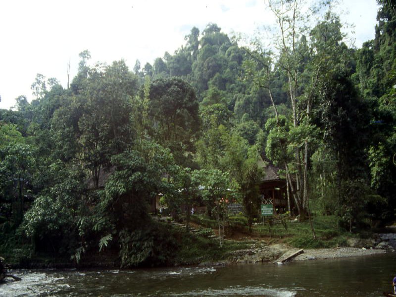 Pictures from Indonesia