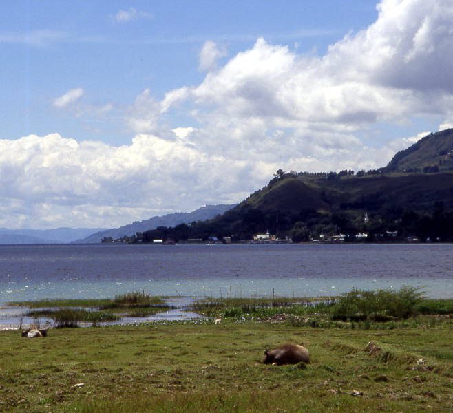 Pictures from Indonesia