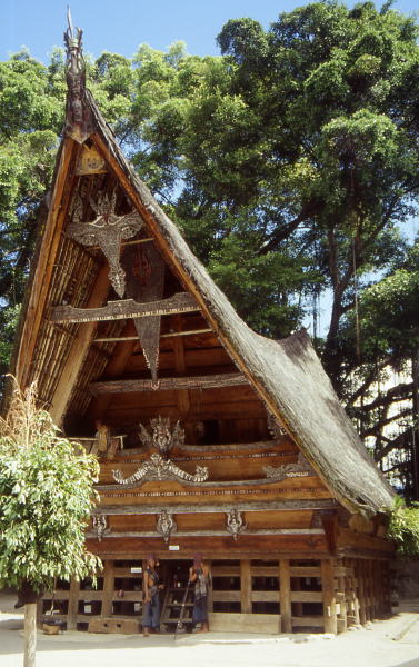 Pictures from Indonesia