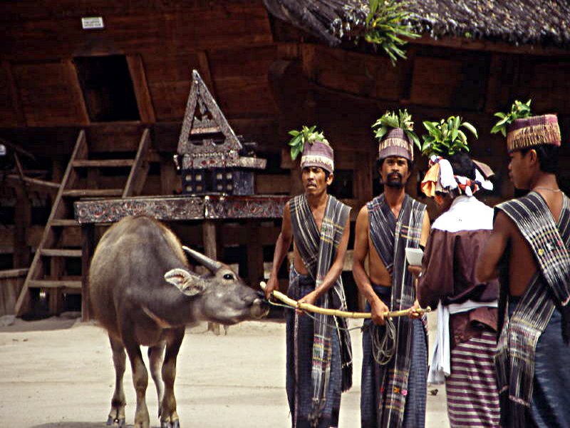 Pictures from Indonesia