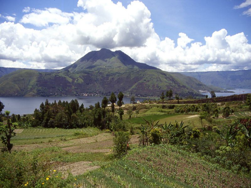 Pictures from Indonesia