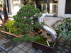 Pictures from Japan