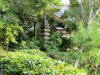 Pictures from Japan