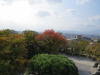 Pictures from Japan