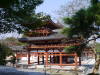 Pictures from Japan