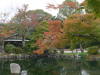 Pictures from Japan