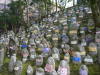 Pictures from Japan