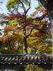 South Japan 