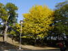 South Japan 