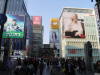 South Japan 
