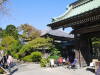 South Japan 