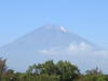 South Japan 