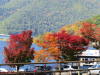 South Japan 