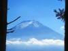 South Japan 