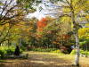 South Japan 