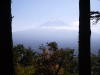 South Japan 