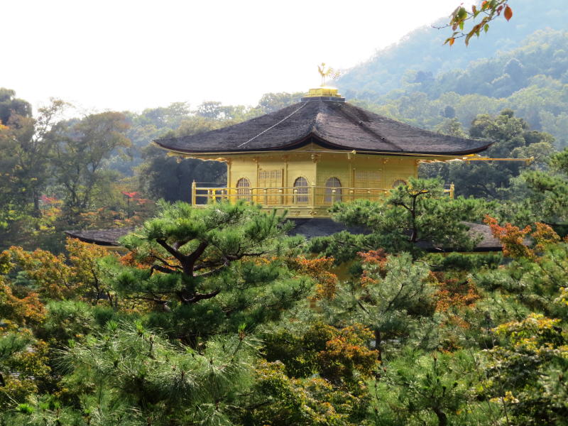 Pictures from Japan