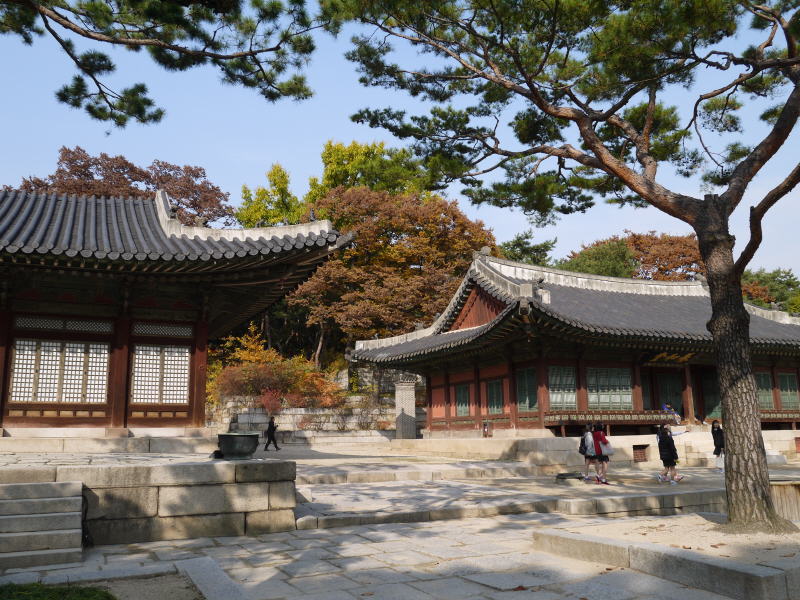Pictures from Korea