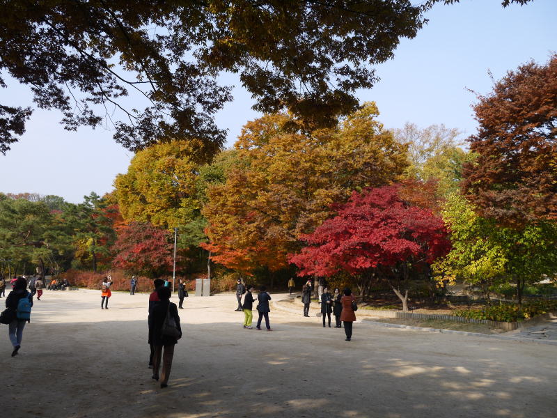Pictures from Korea