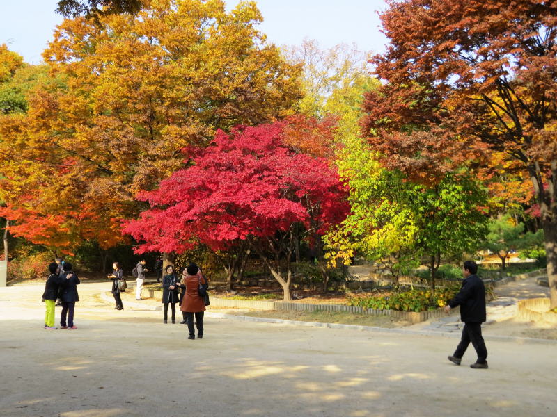 Pictures from Korea