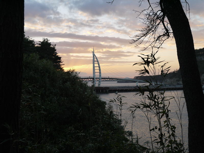 Pictures from Korea