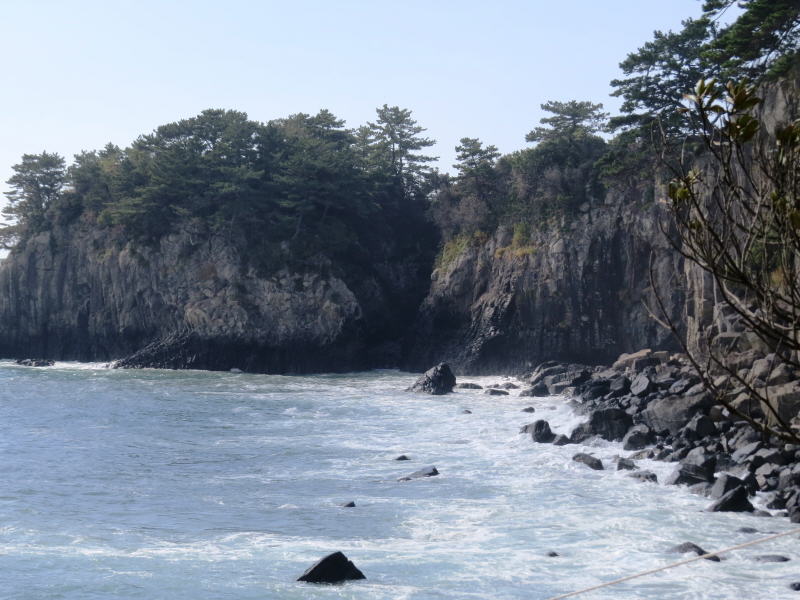 Pictures from Korea