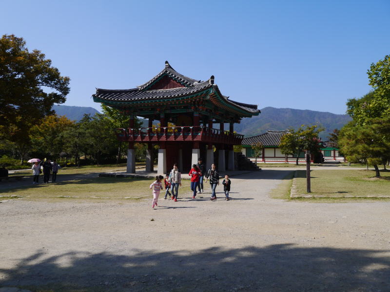 Pictures from Korea