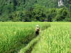 Pictures from Laos