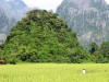 Pictures from Laos