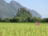 Pictures from Laos