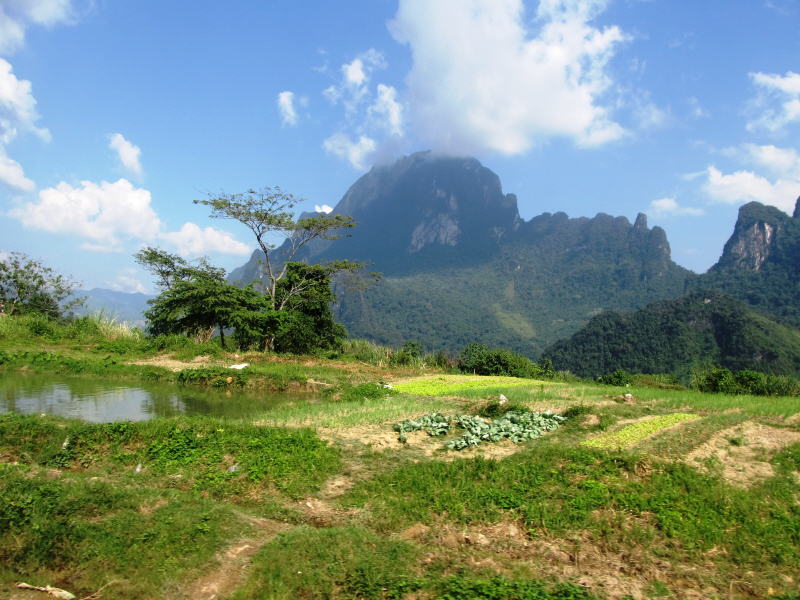 Pictures from Laos